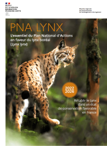 PNA lynx