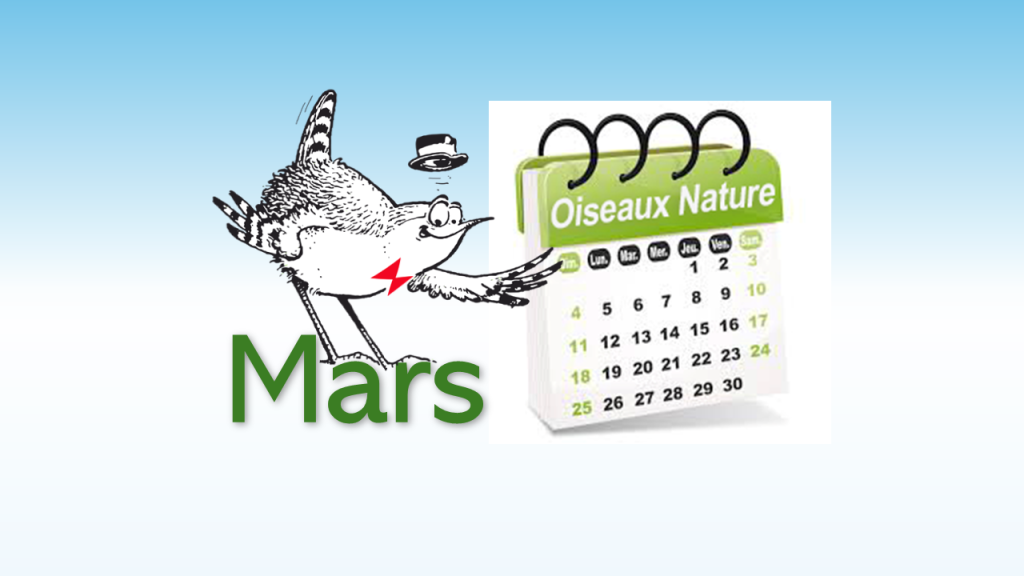 Un mois de mars bien rempli chez Ois Nat!