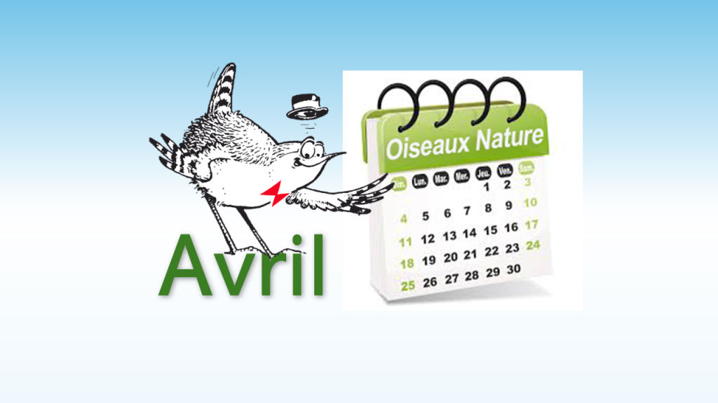 Les sorties nature et autres évènements du mois d'avril