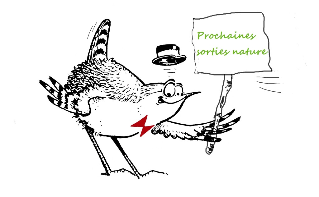 Avril, toujours le plein de sorties et autres évènements de Ois Nat