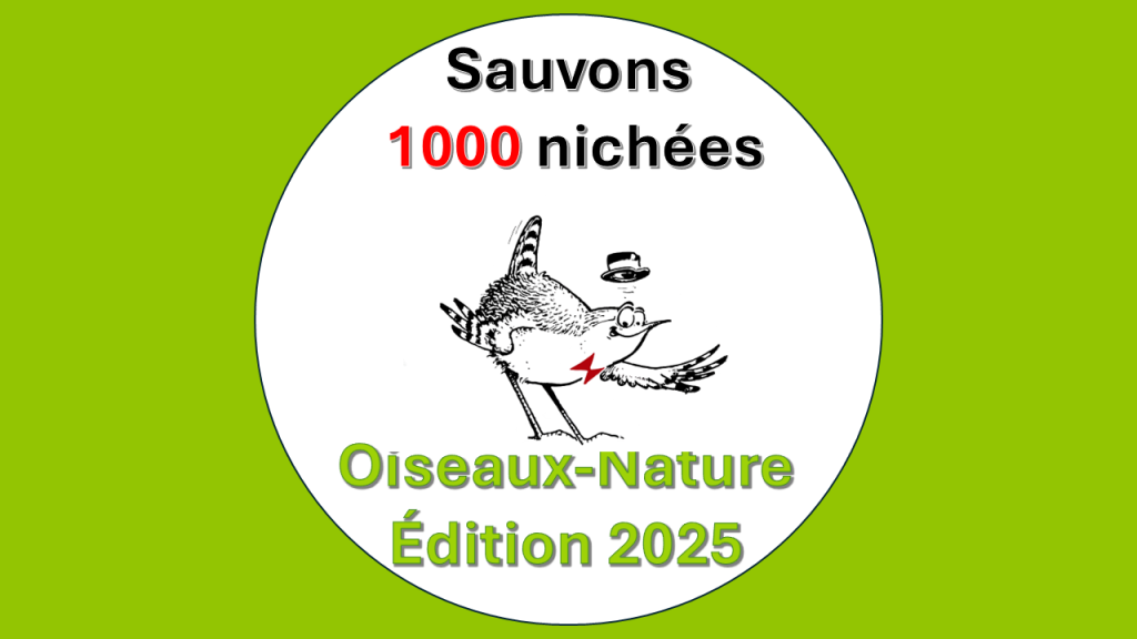 Sauvons 1000 nichées, édition 2025!