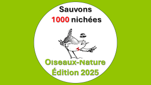 Sauvons 1000 nichées, édition 2025!