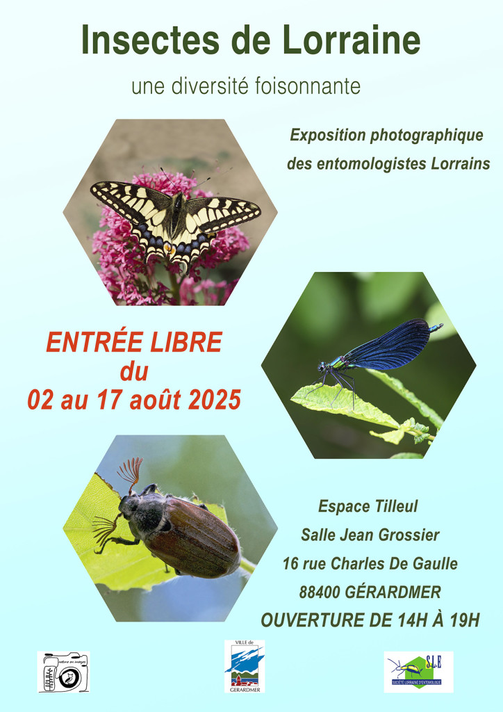 Expo photos Insectes de Lorraine à Gérardmer