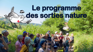 Nouveau: Le programme des sorties nature 2025-2026