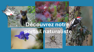 NOUVEAU: le portail naturaliste de Oiseaux-Nature