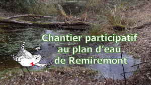 Chantier participatif au plan d'eau de Remiremont