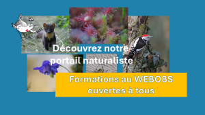 Des formations à notre nouveau portail naturaliste