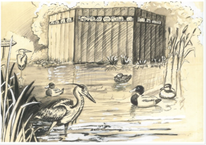 L’affût du Plan d’Eau -Dessin Sylvain Kergal