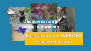 Des formations à notre nouveau portail naturaliste ouvertes à tous