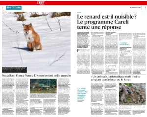 Le renard est-il nuisible - Programme Careli - Est républicain 09-02-2026