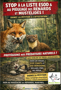 Pétition Oiseaux Nature contre le piégeage 2026