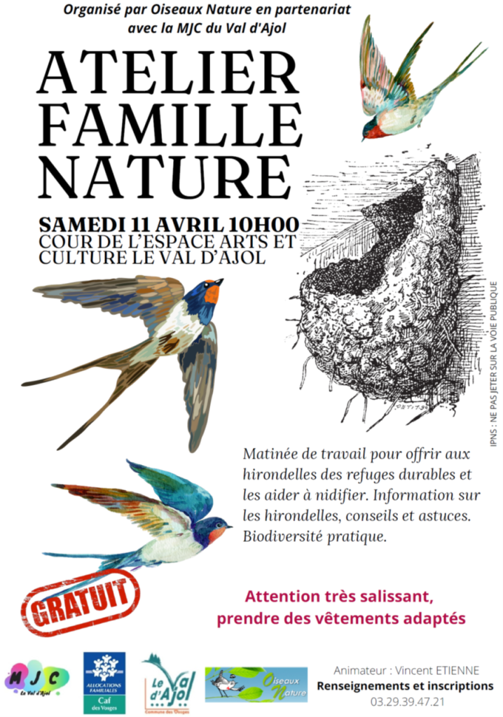 Fabrication de nids pour hirondelles au Val d'Ajol, le 11 avril