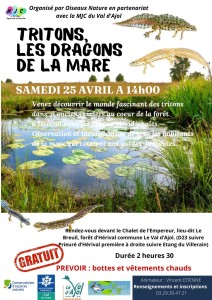 Tritons les dragons de la mare 6 Val d'Ajol 25-04-2026