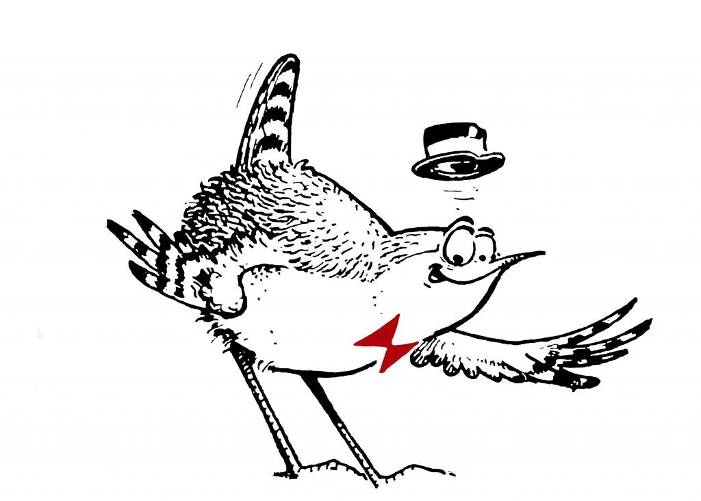 Logo Troglo Oiseaux Nature 68kb