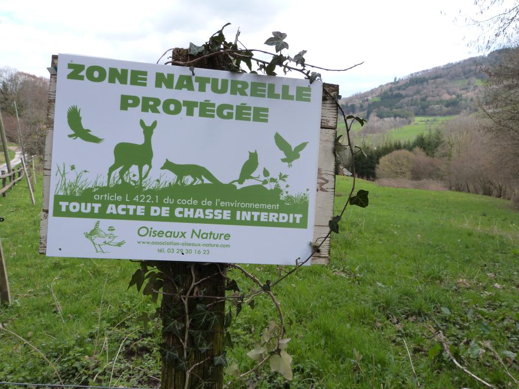 Panneau Zone naturelle protégée Refuge sans chasse - Oiseaux Nature