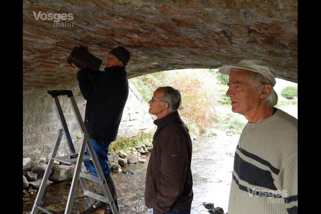 Si les cincles plongeurs ne sont pas au rendez-vous, les bergeronnettes de ruisseaux ne manqueront pas d’investir le nichoir-Vosges Matin 05-10-2018