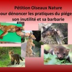 Petition Oiseaux Nature pour dénoncer les pratiques du piégeage