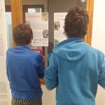 Exposition renard au collège de Plombière les bains - Mars 2021