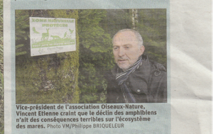 Amphibiens-Il-est-grand-temps-de-changer-nos-pratiques-Vosges-Matin-20-03-2023