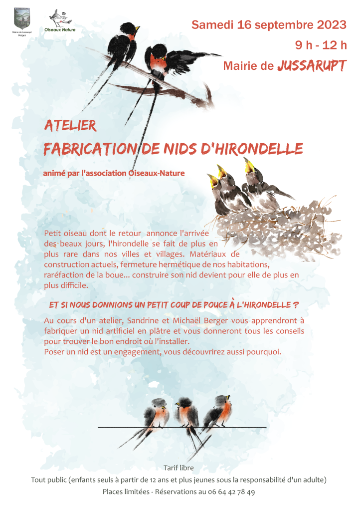 Atelier nids d'hirondelle Jussarupt 2023-09-16