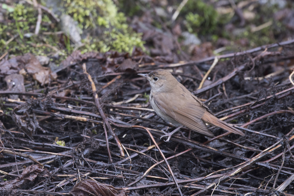 Pétition pour le retrait de l’article 13 de la Loi d’Orientation Agricole