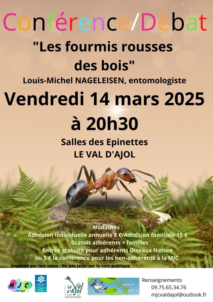 Conférence sur les fourmis rousses des bois le 14 mars au Val d'Ajol