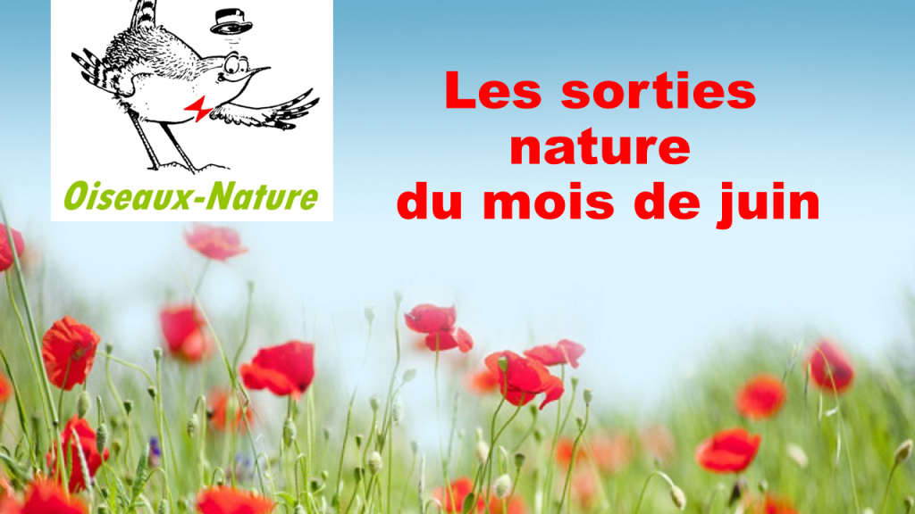 Au plaisir de vous y rencontrer!