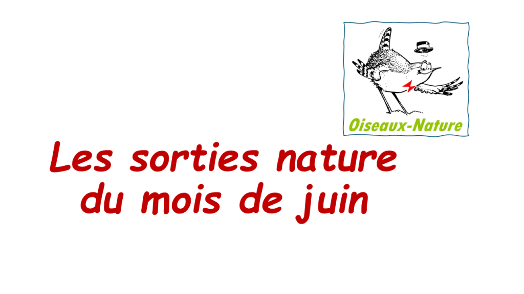 Au plaisir de vous y rencontrer!