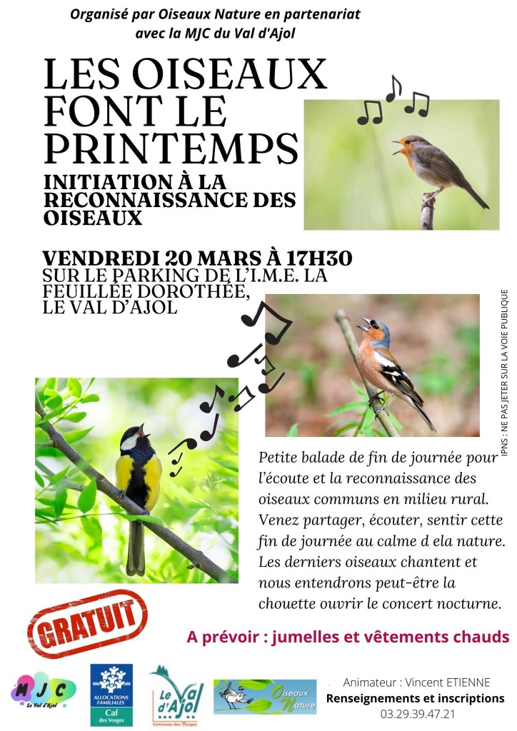 Les oiseaux font le printemps au Val d'Ajol, le 20 mars